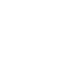 SwissPL Watch Company